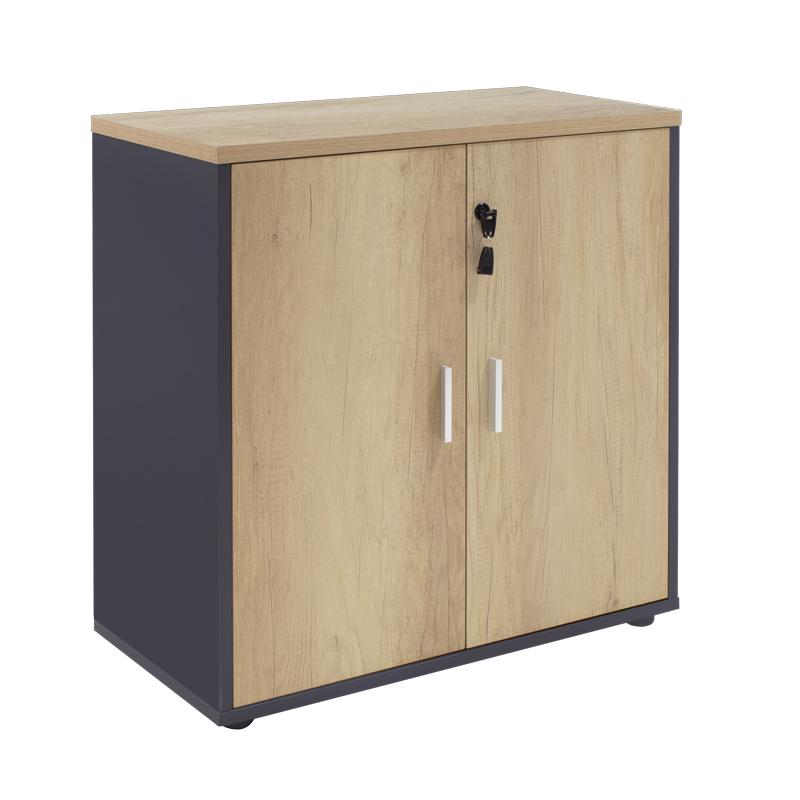 Raft librash Lotus pakoworld në ngjyrë OAK - gri e errët 80x40x80cm