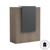 Recepsion Zowel pakoworld me LED SONOMA-antracit 90x40x110cm