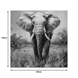 Pikturë në kanavacë Elepho Inart 100x3x100cm
