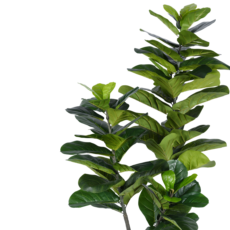 Bimë dekorative Fiddlehead I në vazo Inart pp jeshile H180cm