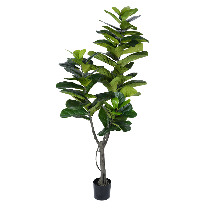 Bimë dekorative Fiddlehead I në vazo Inart pp jeshile H180cm