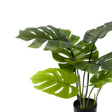 Bimë dekorative Monstera në vazo Inart jeshile pp H70cm