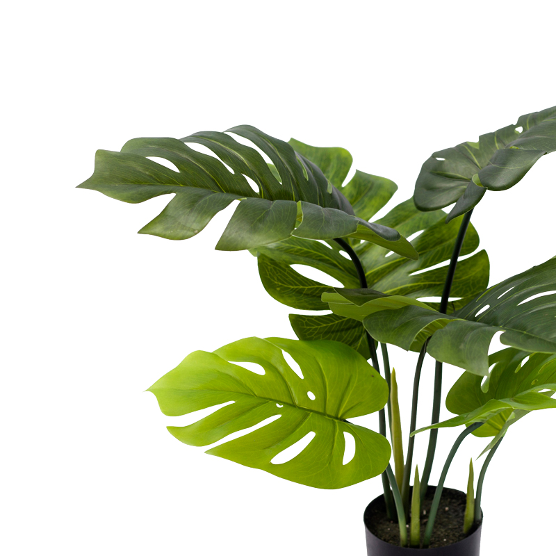 Bimë dekorative Monstera në vazo Inart jeshile pp H70cm