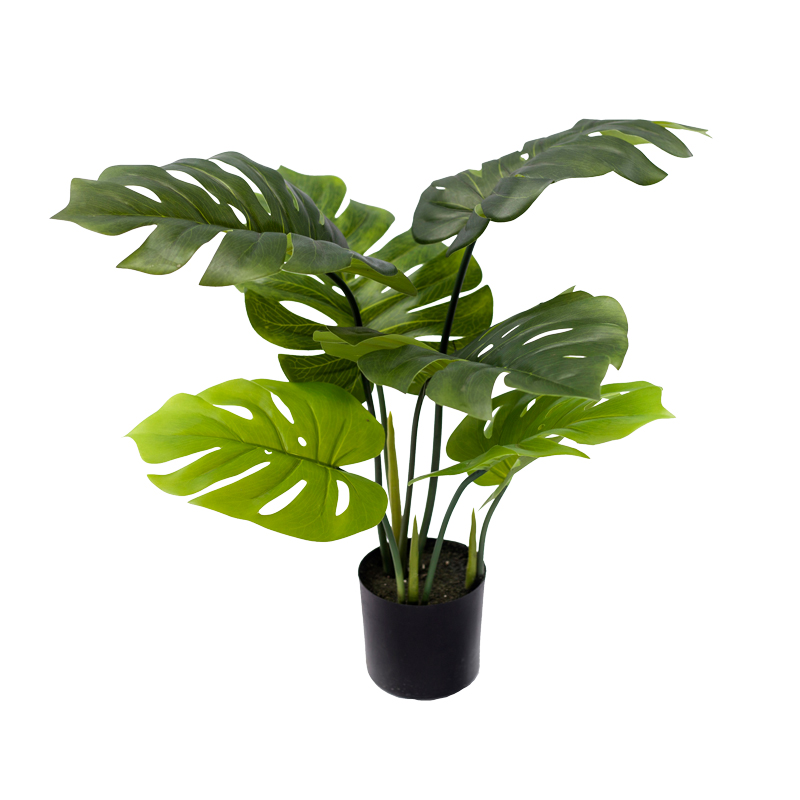 Bimë dekorative Monstera në vazo Inart jeshile pp H70cm