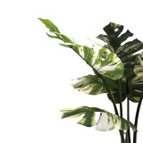 Bimë dekorative Monstera I në vazo Inart jeshile pp H90cm