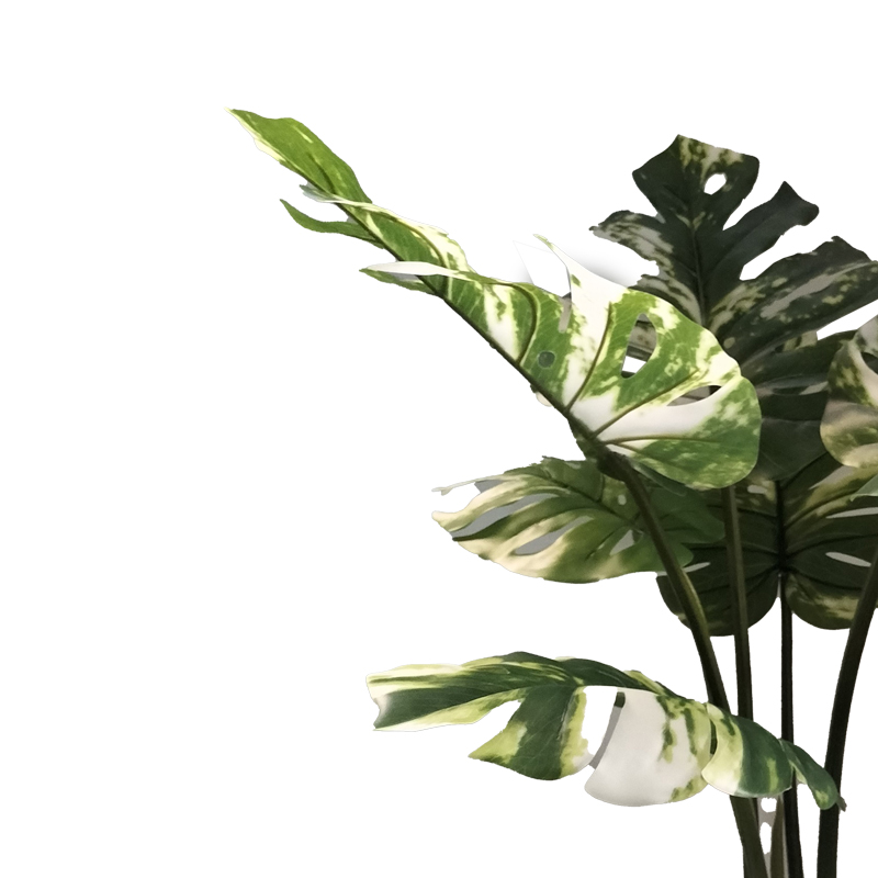 Bimë dekorative Monstera I në vazo Inart jeshile pp H90cm
