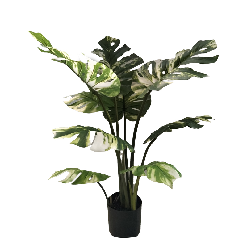 Bimë dekorative Monstera I në vazo Inart jeshile pp H90cm