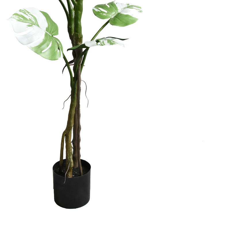 Bimë dekorative në vazo Monstera II Inart jeshile pp H132cm