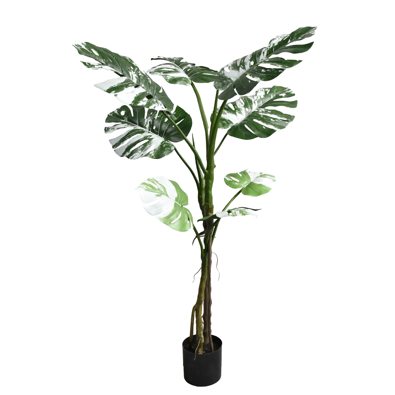 Bimë dekorative në vazo Monstera II Inart jeshile pp H132cm