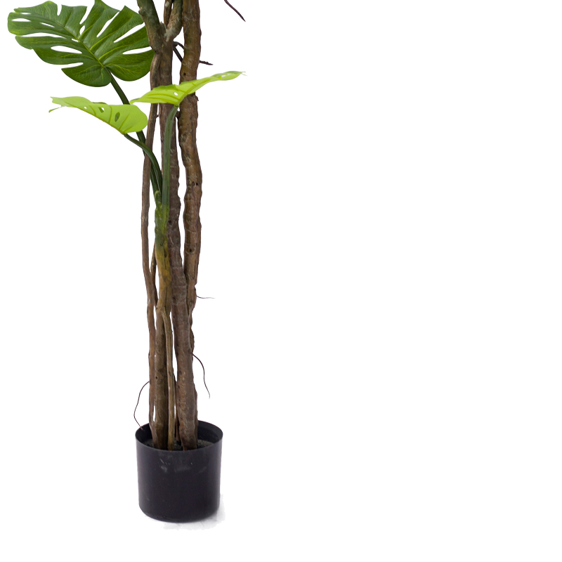 Bimë dekorative në vazo Monstera III Inart pp jeshile H180cm