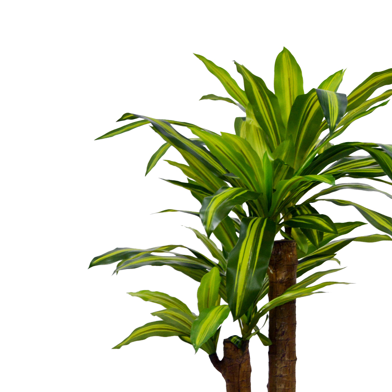 Bimë dekorative Dracaena në vazo Inart jeshile pp H110cm