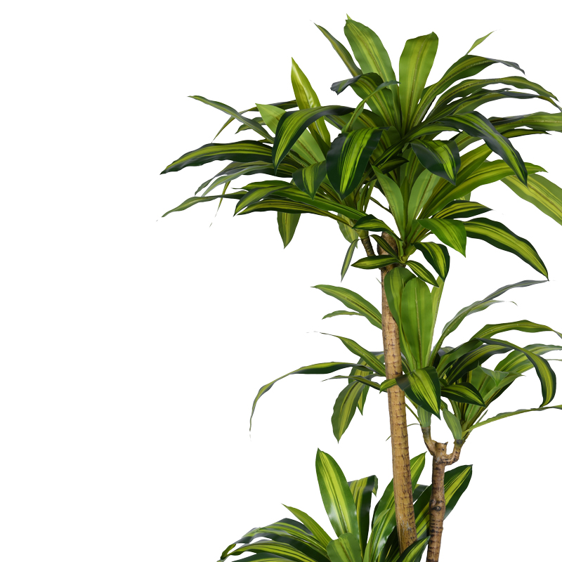 Bimë dekorative Dracaena I në vazo Inart pp jeshile H170cm