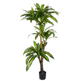 Bimë dekorative Dracaena I në vazo Inart pp jeshile H170cm