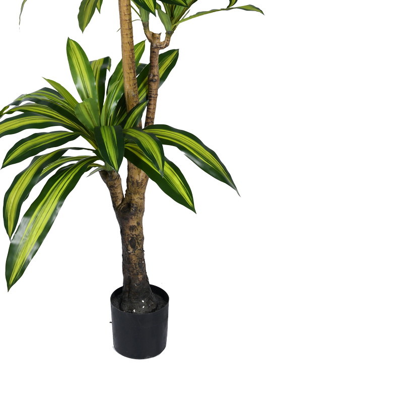 Bimë dekorative Dracaena I në vazo Inart pp jeshile H170cm