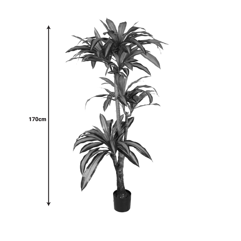 Bimë dekorative Dracaena I në vazo Inart pp jeshile H170cm