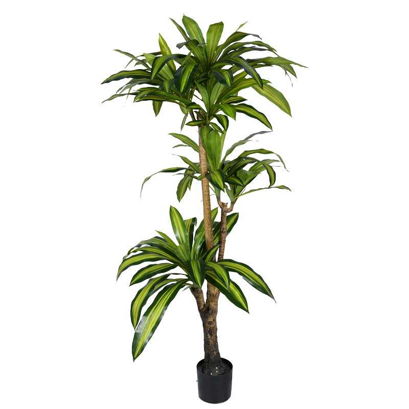 Bimë dekorative Dracaena I në vazo Inart pp jeshile H170cm