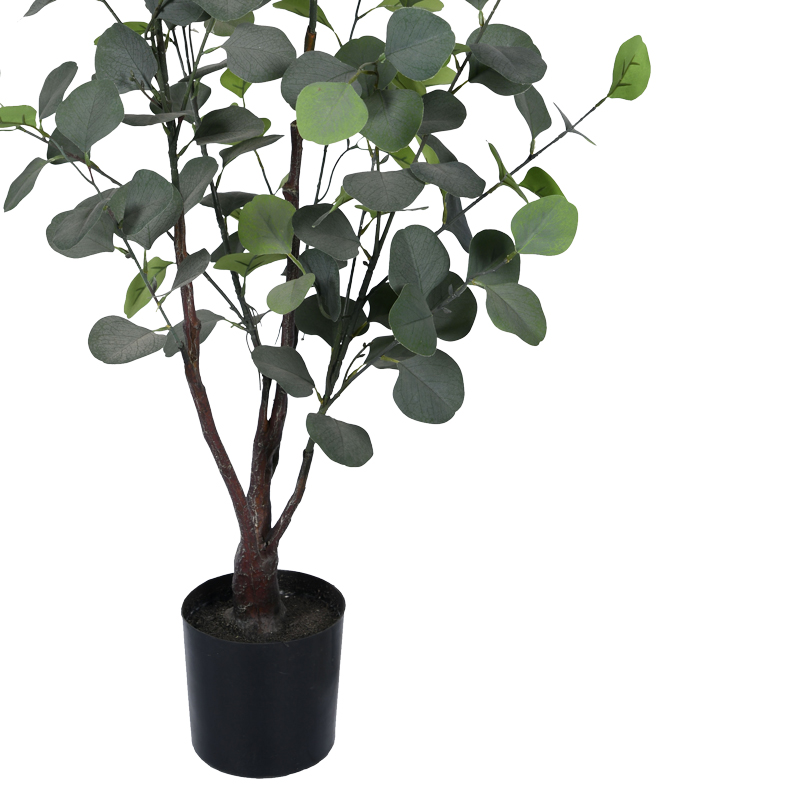 Bimë dekorative Eukalipt në vazo Inart pp jeshile H120cm