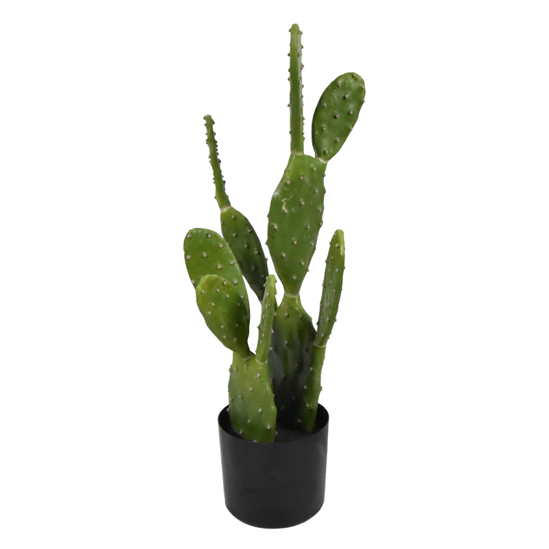 Bimë dekorative kaktus në vazo Inart jeshile pp H64cm