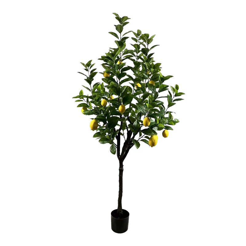Bimë dekorative Limon në vazo Inart jeshile pp H180cm