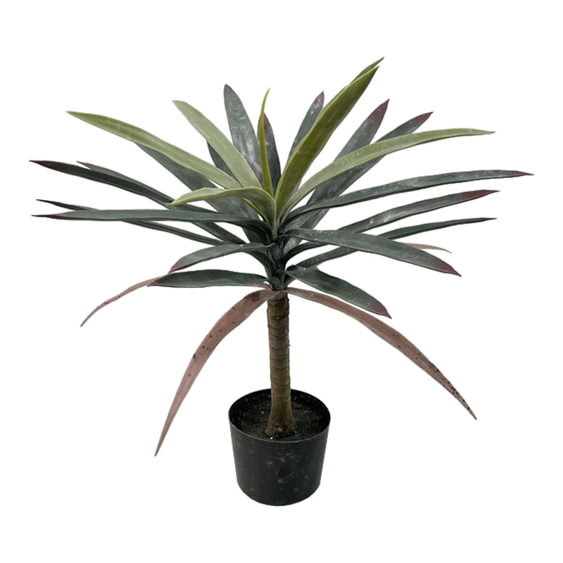 Bimë dekorative Dracaena palmë në vazo Inart jeshile pp H62cm