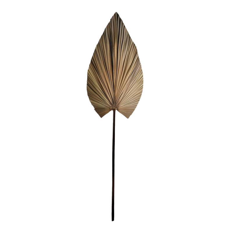 Lule dekorative Leafen pakoworld gjethe palme natyrale 134cm