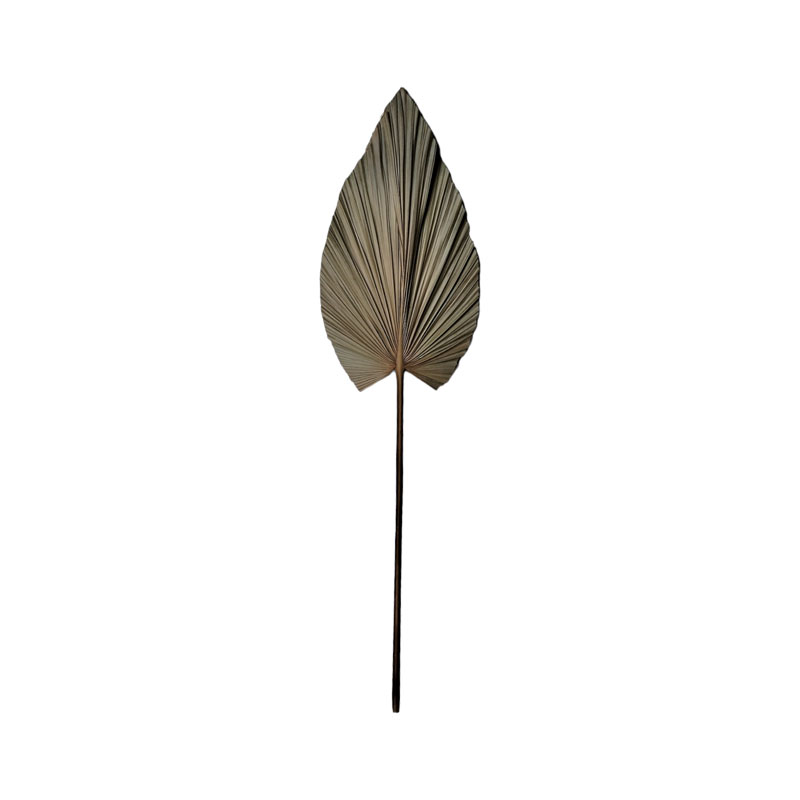 Lule dekorative Leafen I Inart gjethe palme natyrale 121cm
