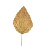 Gjethe dekorative Walsy Inart gjethe palme në ngjyrë natyrale H135cm