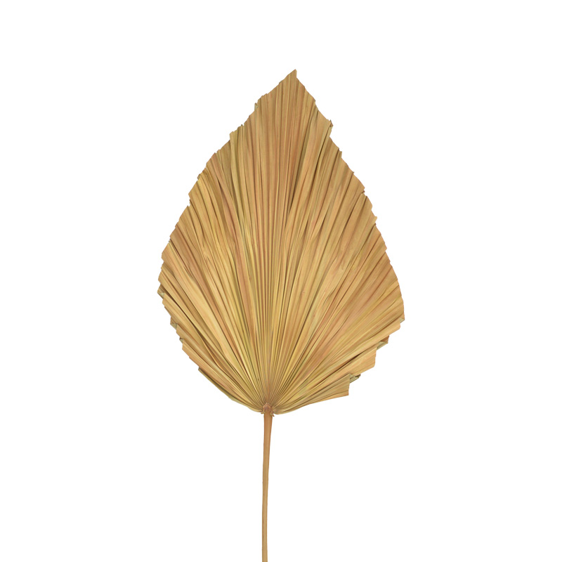 Gjethe dekorative Walsy Inart gjethe palme në ngjyrë natyrale H135cm
