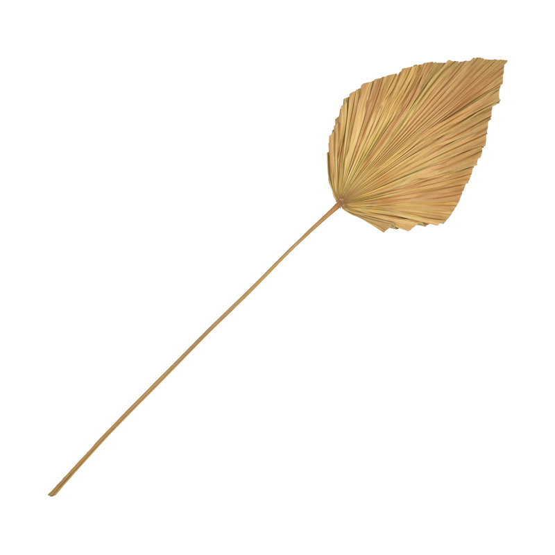 Gjethe dekorative Walsy Inart gjethe palme në ngjyrë natyrale H135cm