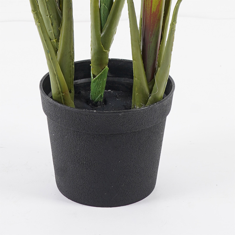 Bimë dekorative në vazo Cycas Inart jeshile D55x80cm
