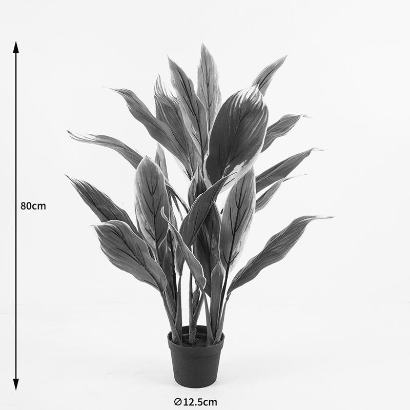 Bimë dekorative në vazo Cycas Inart jeshile D55x80cm
