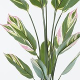 Bimë dekorative në vazo Aglaonema Inart jeshile D80x150cm