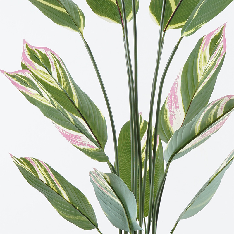 Bimë dekorative në vazo Aglaonema Inart jeshile D80x150cm