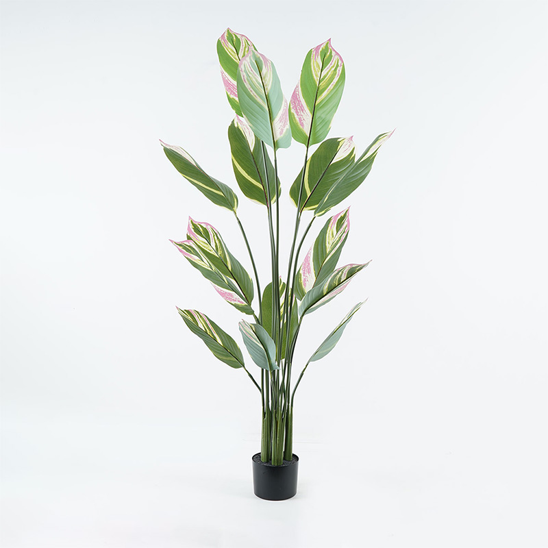 Bimë dekorative në vazo Aglaonema Inart jeshile D80x150cm
