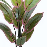 Bimë zbukuruese në vazo Calathea Inart jeshile D68x120cm