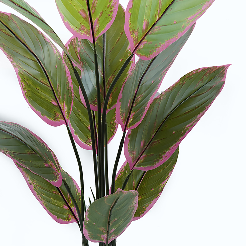 Bimë zbukuruese në vazo Calathea Inart jeshile D68x120cm