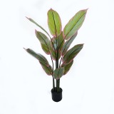 Bimë zbukuruese në vazo Calathea Inart jeshile D68x120cm