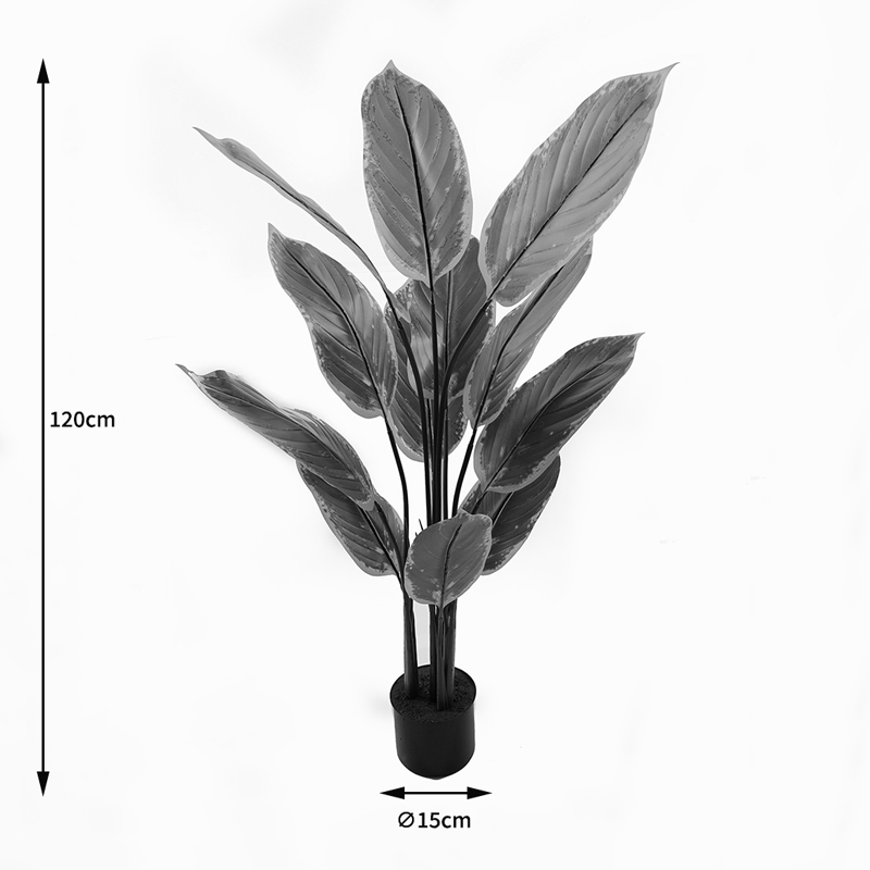 Bimë zbukuruese në vazo Calathea Inart jeshile D68x120cm