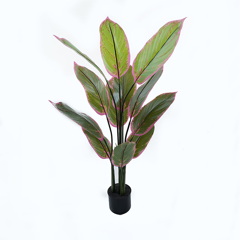 Bimë zbukuruese në vazo Calathea Inart jeshile D68x120cm