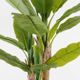 Bimë dekorative në vazo Banana Tree Inart jeshile D53x190cm