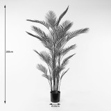 Bimë dekorative në vazo Kwai Inart jeshile D125x180cm