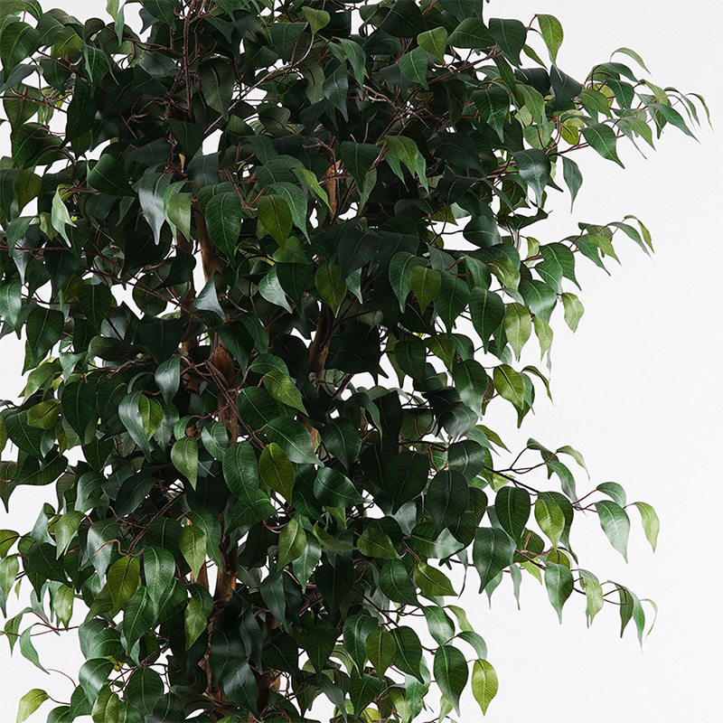 Bimë dekorative në vazo Banyan Inart jeshile D95x180cm