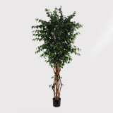 Bimë dekorative në vazo Banyan Inart jeshile D95x180cm