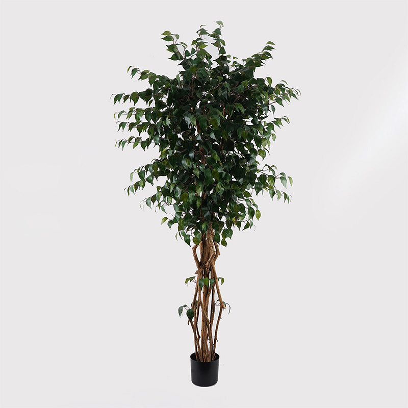 Bimë dekorative në vazo Banyan Inart jeshile D95x180cm