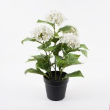 Bimë dekorative në vazo Hydrangea Inart e bardhë D35x50cm
