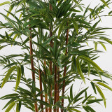 Bimë dekorative në vazo Rhapis Palm Inart jeshile D60x120cm