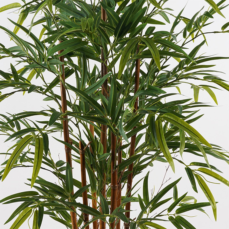 Bimë dekorative në vazo Rhapis Palm Inart jeshile D60x120cm