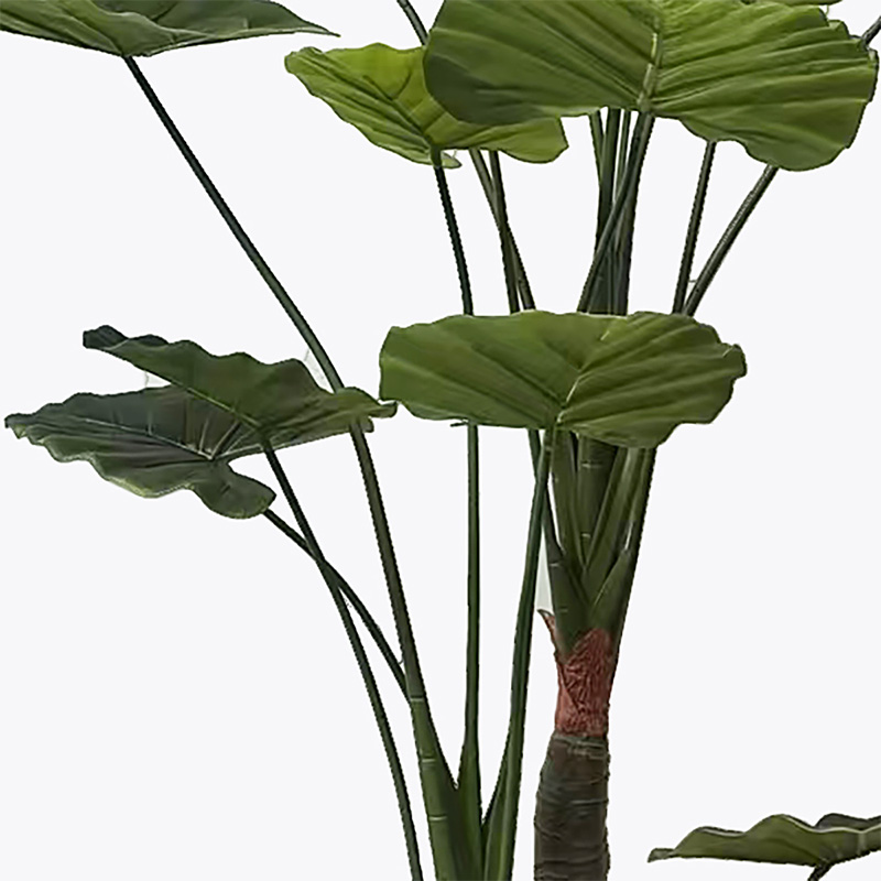 Bimë dekorative në vazo Taro Plant Inart jeshile D90x180cm