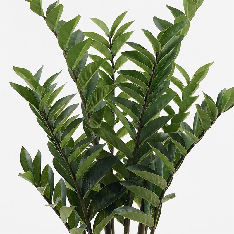 Bimë dekorative në vazo Zamia Inart jeshile D52x88cm