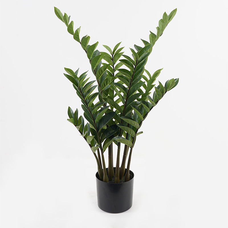 Bimë dekorative në vazo Zamia Inart jeshile D52x88cm